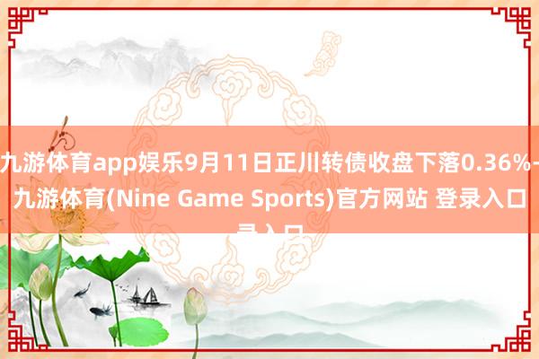 九游体育app娱乐9月11日正川转债收盘下落0.36%-九游体育(Nine Game Sports)官方网站 登录入口